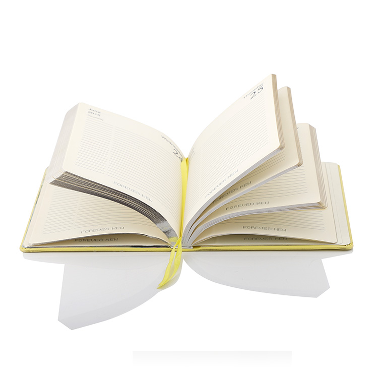 Notebook 004 - Image 2