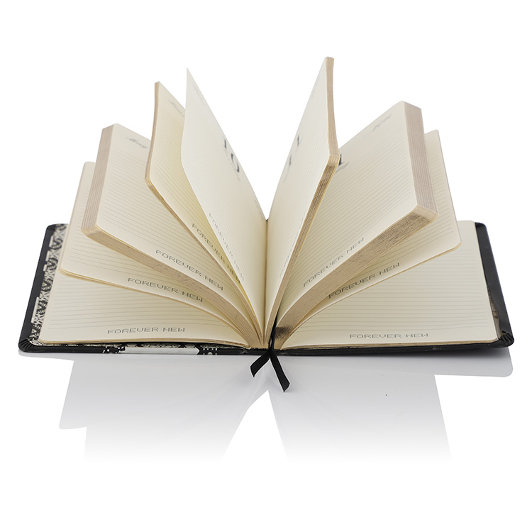 Notebook 005 - Image 2