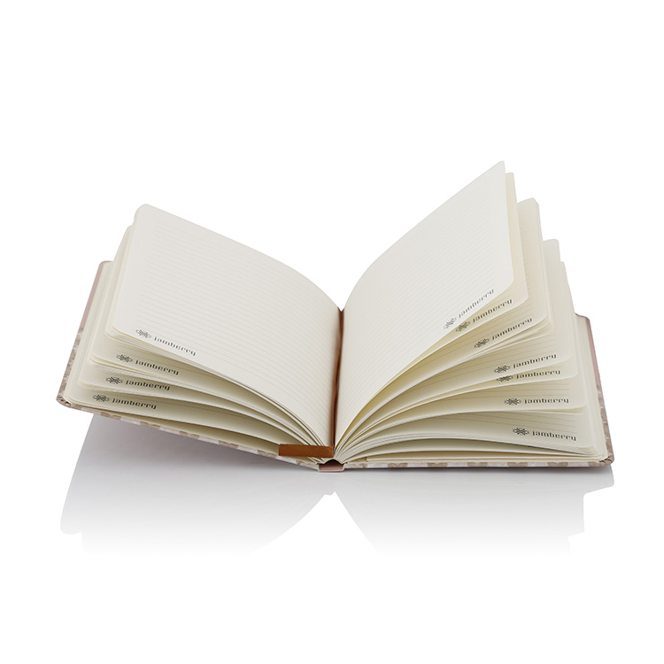 Notebook 011 - Image 3